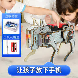 湖北機器人 科教玩具的創新先鋒，啟迪未來科技夢想